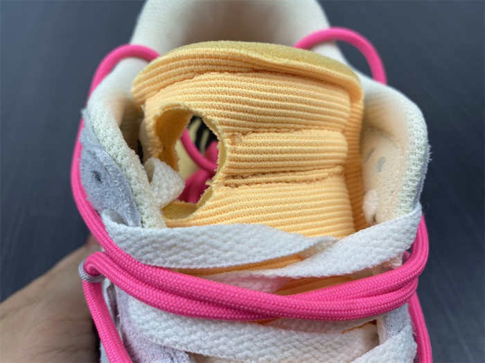 Nike Dunk Low Off-White Lot 17 DJ0950-117