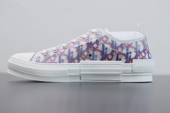 DR B23 OBLIQUE LOW TOP “CD Ghosting"